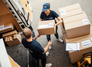 03_20250329_004738_0000